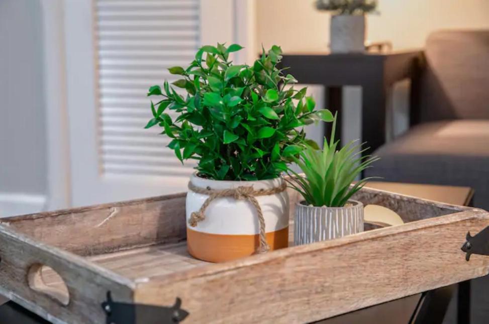 Westshore South Tampa Apt Apartment ภายนอก รูปภาพ